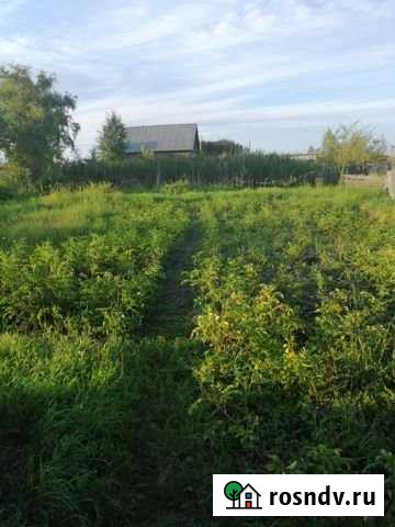 Дом 38.5 м² на участке 14.7 сот. на продажу в Ишиме Ишим - изображение 1