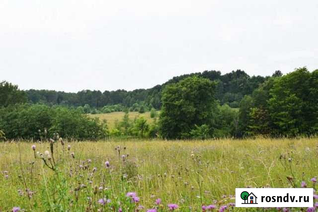 Участок ИЖС 45 сот. на продажу в Любане Любань - изображение 1