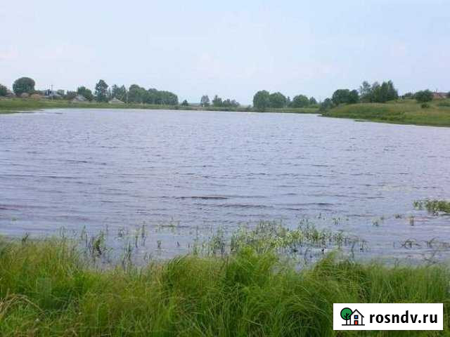 Участок СНТ, ДНП 250 сот. на продажу в Ильинско-Хованском Ильинско-Хованское - изображение 1