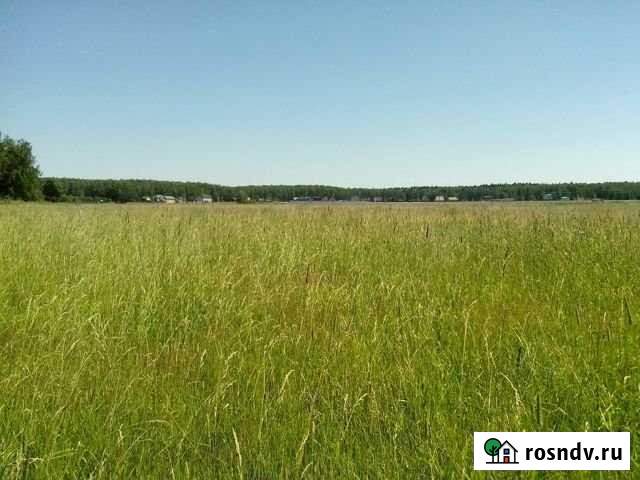 Участок ИЖС 16 сот. на продажу в Рамони Рамонь - изображение 1