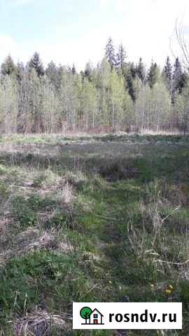 Участок ИЖС 22 сот. на продажу в Дружной Горке Дружная Горка - изображение 1