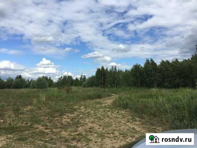 Участок ИЖС 10 сот. на продажу в Речицах Речицы - изображение 1