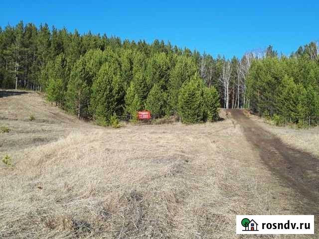 Участок ИЖС 22 сот. на продажу в Емельяново Емельяново - изображение 1