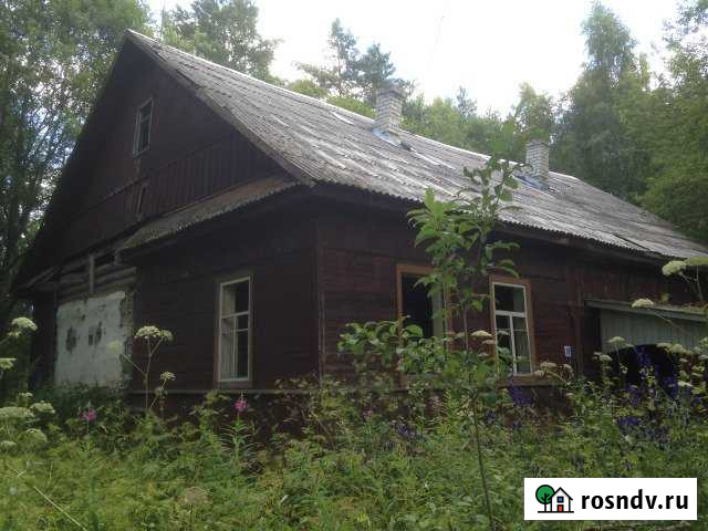 Участок ИЖС 25 сот. на продажу в Нелидово Нелидово - изображение 1