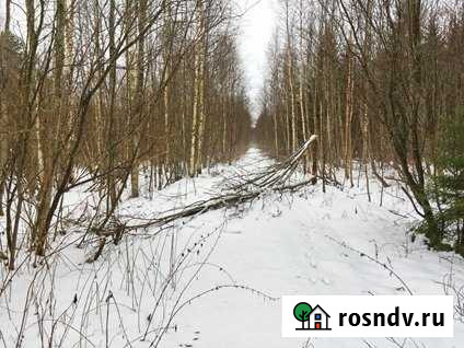 Участок СНТ, ДНП 3020 сот. на продажу в Дружной Горке Дружная Горка - изображение 1