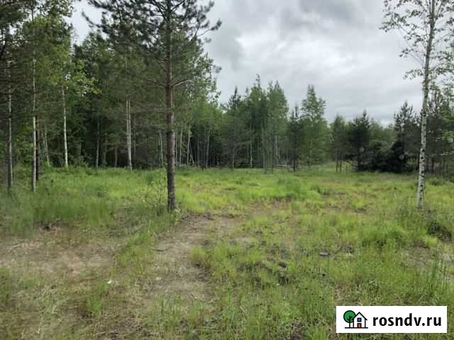 Участок СНТ, ДНП 27 сот. на продажу в Лангепасе Лангепас - изображение 1