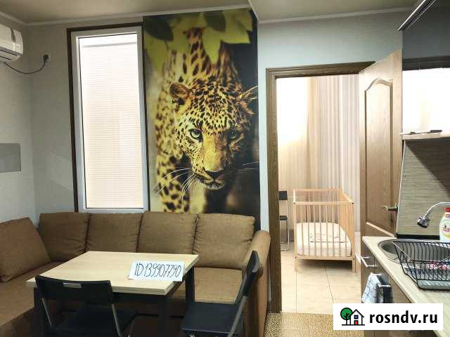 2-комнатная квартира, 32 м², 1/7 эт. в аренду посуточно в Анапе Анапа - изображение 1