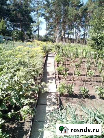 Участок СНТ, ДНП 8 сот. на продажу в Пензе Пенза - изображение 1