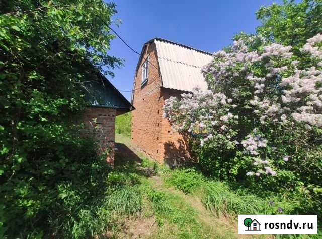 Дача 40 м² на участке 12 сот. на продажу в Лузино Лузино - изображение 1