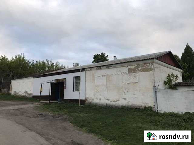 Продаётся здание под магазин, с гаражом и офисом Эртиль - изображение 1