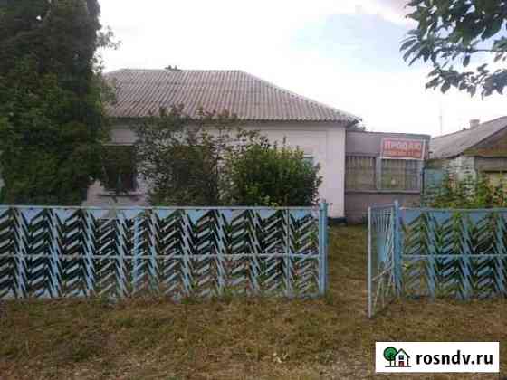 Дом 60 м² на участке 8 сот. на продажу в Плавице Плавица