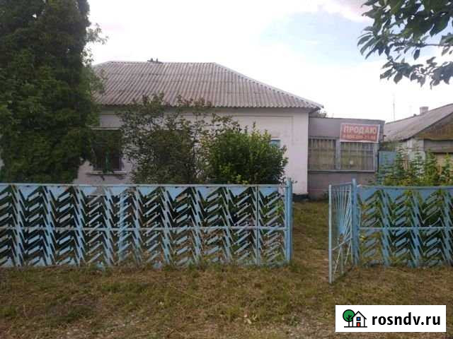 Дом 60 м² на участке 8 сот. на продажу в Плавице Плавица - изображение 1