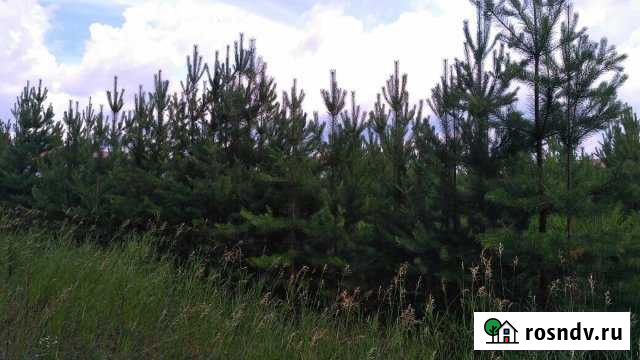 Участок ИЖС 11 сот. на продажу в Иркутске Иркутск - изображение 1