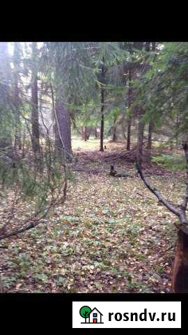 Участок ИЖС 10 сот. на продажу в Советском Ленинградской области Советский - изображение 1