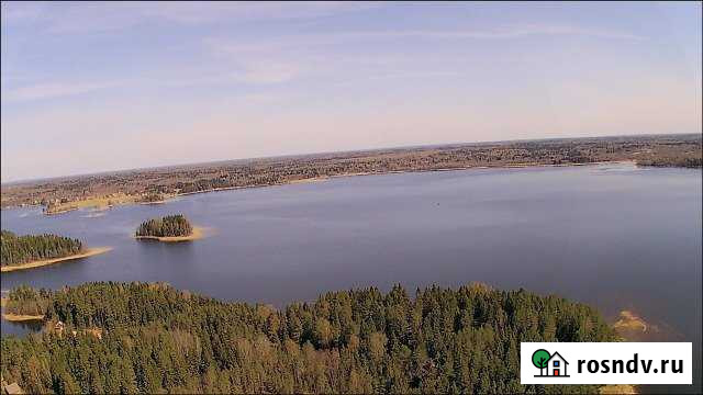 Участок ИЖС 55 сот. на продажу в Демянске Демянск - изображение 1