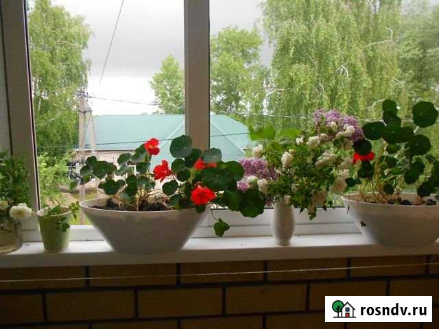 1-комнатная квартира, 42 м², 2/3 эт. на продажу в Высокой Горе Высокая Гора - изображение 1