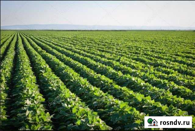 Участок СНТ, ДНП 45500 сот. на продажу в Биробиджане Биробиджан - изображение 1