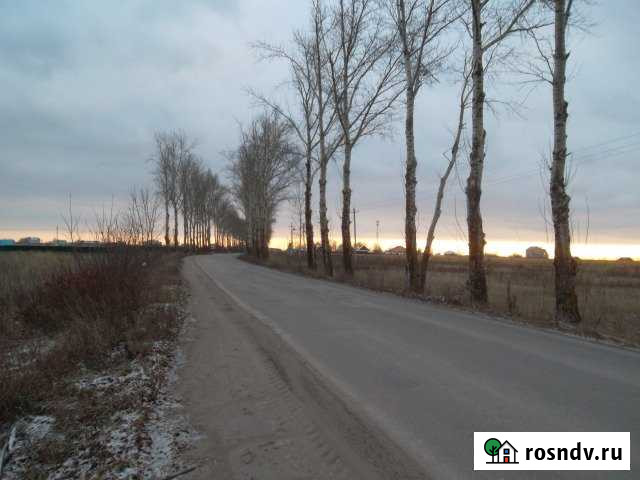 Участок СНТ, ДНП 1455 сот. на продажу в Муроме Муром - изображение 1