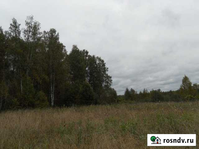 Участок СНТ, ДНП 14 сот. на продажу в Туношне Туношна - изображение 1