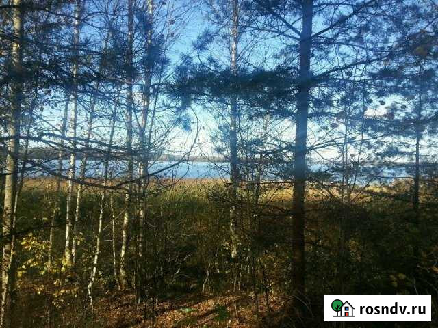 Участок СНТ, ДНП 200 сот. на продажу в Красной Долине Красная Долина - изображение 1