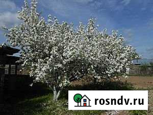 Участок ИЖС 5 сот. на продажу в Нижнекамске Нижнекамск - изображение 1