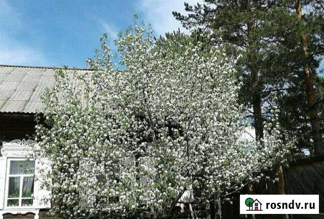 Дом 47 м² на участке 24 сот. на продажу в Зее Зея - изображение 1