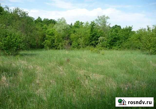 Участок ИЖС 100 сот. на продажу в Белоярском Свердловской области Белоярский - изображение 1