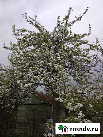 Участок СНТ, ДНП 3 сот. на продажу в Каменске-Уральском Каменск-Уральский - изображение 1