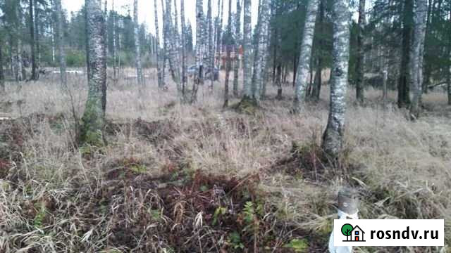 Участок СНТ, ДНП 10 сот. на продажу в Зеленогорске Ленинградской области Зеленогорск - изображение 1