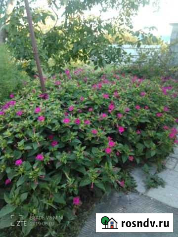 Участок ИЖС 10 сот. на продажу в Вознесенской Вознесенская - изображение 1