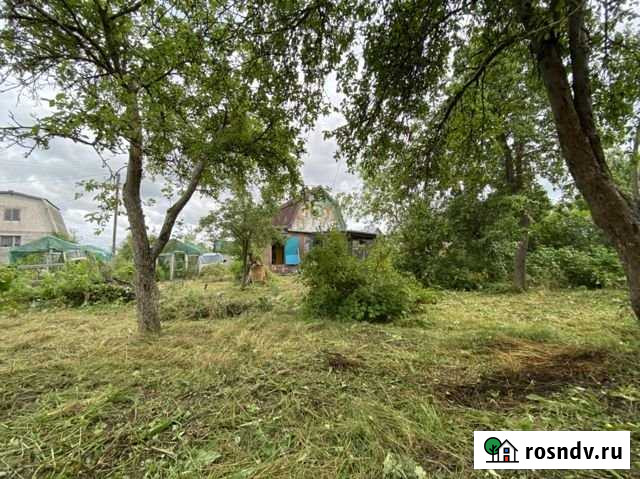 Дача 50 м² на участке 5 сот. на продажу в Калининграде Калининград - изображение 1