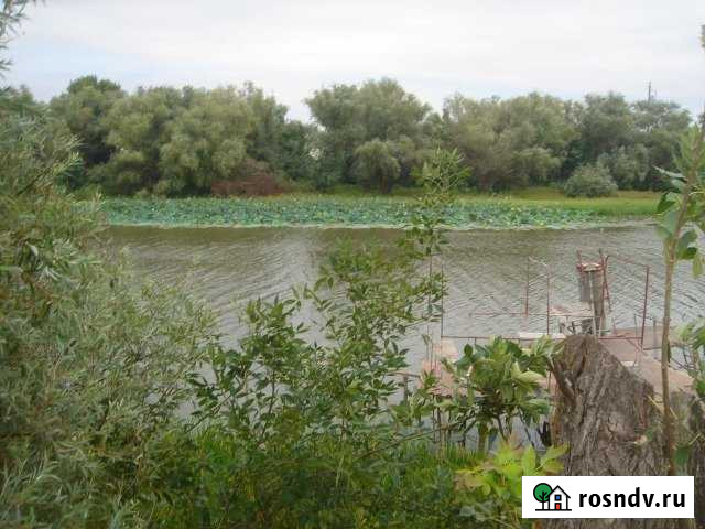 Дача 60 м² на участке 11 сот. на продажу в Красных Баррикадах Красные Баррикады - изображение 1