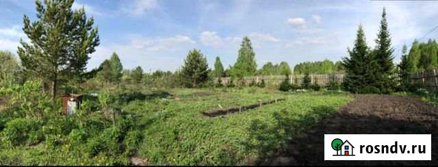 Участок СНТ, ДНП 8 сот. на продажу в Прокопьевске Прокопьевск - изображение 1