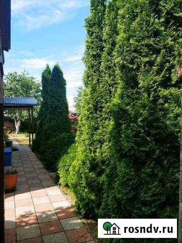 Дача 96 м² на участке 6 сот. на продажу в Хрящевке Хрящевка - изображение 1