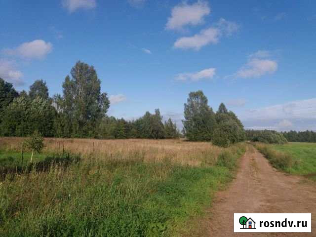 Участок ИЖС 39 сот. на продажу в Большом Селе Большое Село - изображение 1