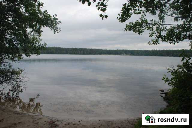 Участок СНТ, ДНП 23 сот. на продажу в Рошале Рошаль - изображение 1