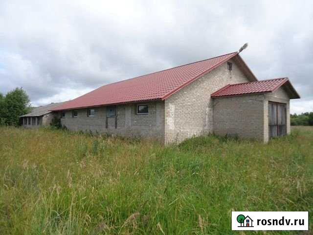 Продам помещение свободного назначения, 1255.4 кв.м. Гдов - изображение 1