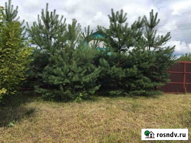 Участок СНТ, ДНП 6 сот. на продажу в Электрогорске Электрогорск - изображение 1