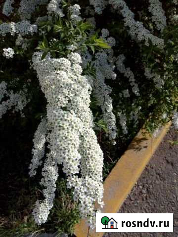 Участок СНТ, ДНП 15 сот. на продажу в Иглино Иглино - изображение 1