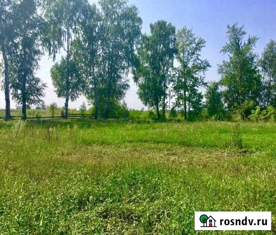 Участок СНТ, ДНП 24 сот. на продажу в Криводановке Криводановка - изображение 1