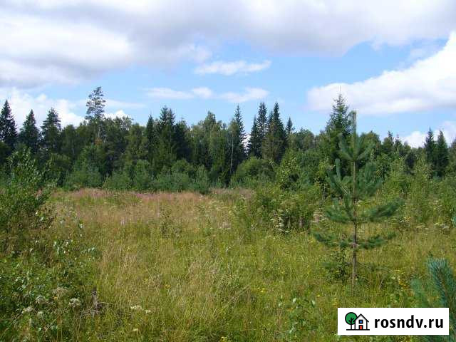 Участок СНТ, ДНП 600 сот. на продажу в Васкелово Васкелово - изображение 1