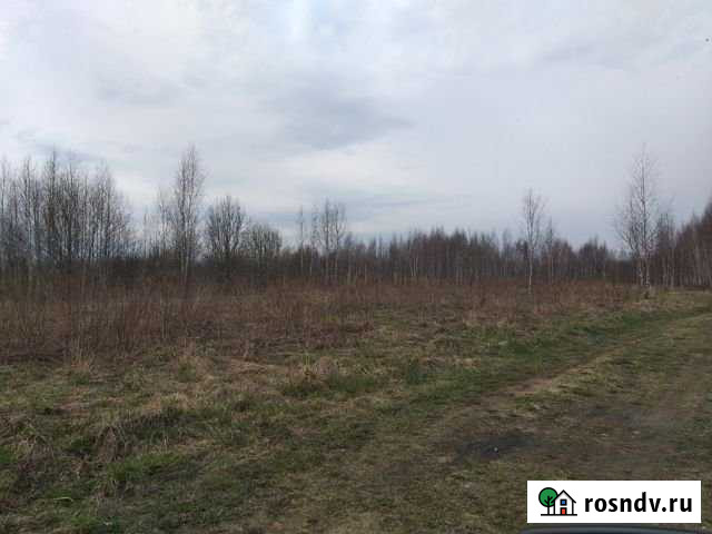 Участок ИЖС 15 сот. на продажу в Некрасовском Ярославской области Некрасовское - изображение 1