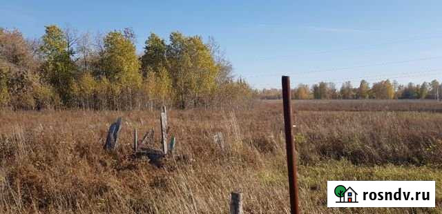 Участок ИЖС 10 сот. на продажу в Берёзовке Алтайского края Берёзовка - изображение 1