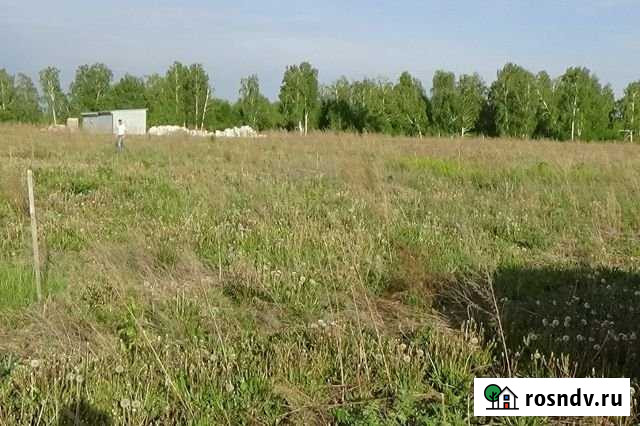 Участок ИЖС 12 сот. на продажу в Берёзовке Алтайского края Берёзовка - изображение 1