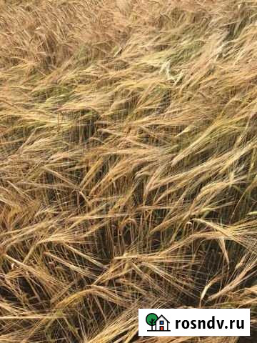 Участок ИЖС 16 сот. на продажу в Благовещенске Амурской области Благовещенск - изображение 1