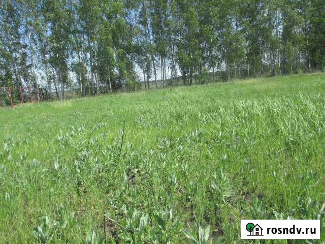 Участок ИЖС 10 сот. на продажу в Новой Усмани Новая Усмань - изображение 1