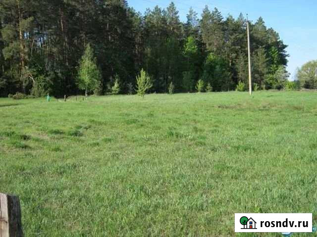 Участок СНТ, ДНП 11 сот. на продажу в Мурмино Мурмино - изображение 1