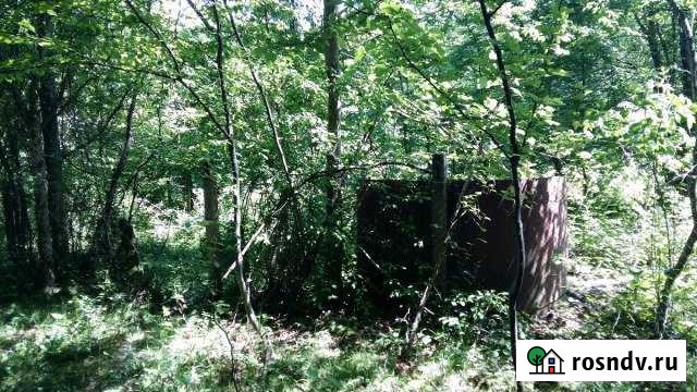 Участок СНТ, ДНП 5 сот. на продажу в Высоком Высокое - изображение 1