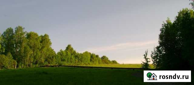 Участок СНТ, ДНП 2000 сот. на продажу в Новокузнецке Новокузнецк - изображение 1