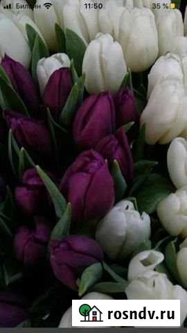 Участок ИЖС 17 сот. на продажу в Гагарине Гагарин - изображение 1